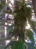 02-26-08_2157.jpg