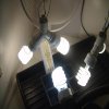 Veg Room Picture 2.jpg