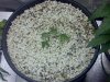 Blue Cheese.jpg