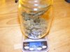 March 5 ge dry weight.jpg