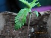03.08.2010 001.jpg