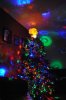 christmas tree.jpg