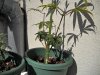 DSCN1025.jpg