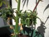 DSCN1032.jpg