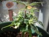 DSCN1033.jpg