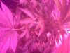 ROLL8 024.jpg