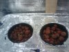 2010-03-03 04.49.23.jpg