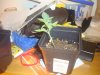 DSC01528.JPG