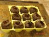 DSC01397.jpg