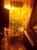 2010-03-11 09.15.26.jpg
