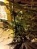 2010-03-14 11.17.35.jpg