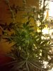 2010-03-14 11.18.57.jpg
