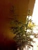 2010-03-14 11.18.51.jpg