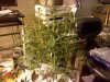 2010-03-14 11.18.44.jpg