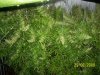 100_0263.jpg