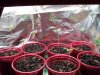 100_1392.jpg