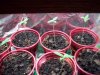 100_1393.jpg