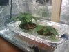 2010-03-16 22.34.17.jpg