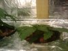 2010-03-16 22.34.30.jpg