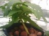 2010-03-16 22.34.44.jpg