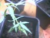 2010-03-19 10-38-04.421.jpg