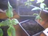 2010-03-19 10-37-08.313.jpg