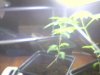 2010-03-19 10-36-31.219.jpg