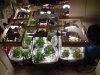 DSC00544.jpg