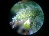 2010-03-21 02.32.29.jpg