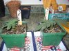 3-21 #3 & #4.jpg