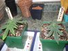 3-21 #5 & #6.jpg