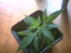 2010-03-22 16-15-59.739.jpg