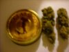 buds 013.jpg