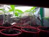 100_1394.jpg