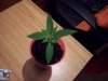 100_1396.jpg