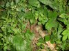 DSC03673.jpg