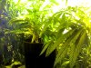 Snapshot_20100325_2.jpg
