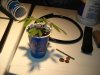 DSC00034.jpg