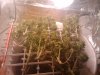 2010-03-27 16.59.30.jpg