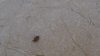 DSC04831.jpg