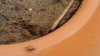 DSC04830.jpg