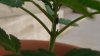DSC04832.jpg