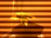 IMG00302.jpg