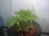 2010-02-15 23.00.02.jpg