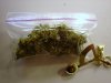 BlackJacks 1 week flower & DWC 1week roots 008.jpg