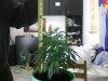 Picture0010.jpg