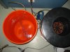 DSC00100.jpg