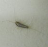 DSCF2822.jpg