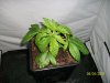 100_0507.jpg