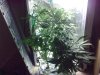 05042010284.jpg